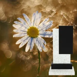 Вертикальный памятник "Бытиё"