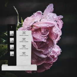 Вертикальный памятник "Апполон"