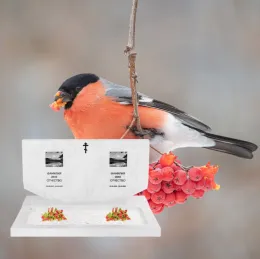 Горизонтальный памятник "Теорема"