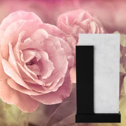 Вертикальный памятник "Амос"