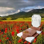 Памятник для урны с прахом "Жемчужина Души" 13