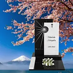 Памятник для урны с прахом "Свет Души"