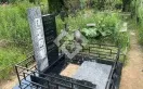 Фото rz09o8w6glqx794mt5jykcqyfoezzjrc