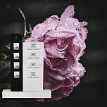 Вертикальный памятник "Апполон" 7