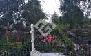 Фото 01bzx9fpj5jzkwa0d4ccg102jx00p9al