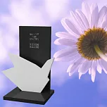 Вертикальный памятник "Полет Души" 14