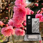 Памятник для урны с прахом "Страница Жизни" 10