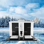 Современный памятник  "Ирис" 7