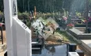 Фото 9666inj1r5i4li9zh1bnyj5gdpegiy8f
