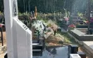 Фото 9666inj1r5i4li9zh1bnyj5gdpegiy8f