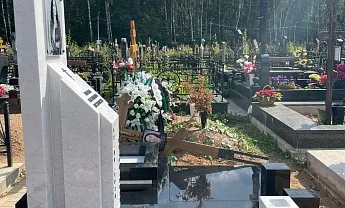 Фото 9666inj1r5i4li9zh1bnyj5gdpegiy8f