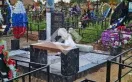 Фото 30qz2rf6g6y9nx3vuxnw9lqmjkt4iz6p