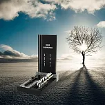 Памятник на могилу "Вечность"