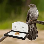 Горизонтальный памятник "Дуга"