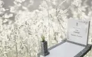 Фото ezz4920evicq3ndkjf68bitz36dw2siy