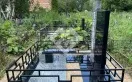 Фото qojs9ct19kf67pp8pa65j1v8muadijrq