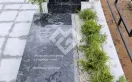 Фото 0rb0b6k4rl17oeeq9h3z0vzhvxqgwq5p