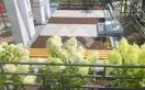 Фото ij33o3cxh0vhyatiw9y7nxm8qi8jv8kf
