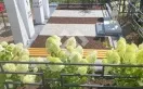 Фото ij33o3cxh0vhyatiw9y7nxm8qi8jv8kf