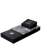 Иудейский памятник "Давид"