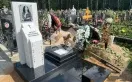 Фото ql30v6trkok67kr25osthw8zb0e6k7mm