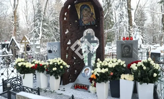 Фото mip4xx080hnnsnh774ta412lx8ou9nnm