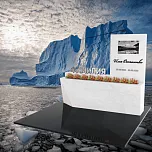 Современный памятник  "Дрейф"