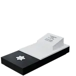 Иудейский памятник "Давид"