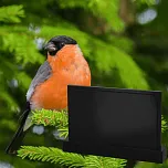 Горизонтальный памятник "Имандра" 7