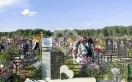 Фото zllijvg973fg01ebr7g7dlrqwo3npmnt