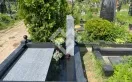 Фото ke8wnsg0qnln16y1wbzqvxv4uu9d1hv8