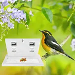 Горизонтальный памятник "Согласие"