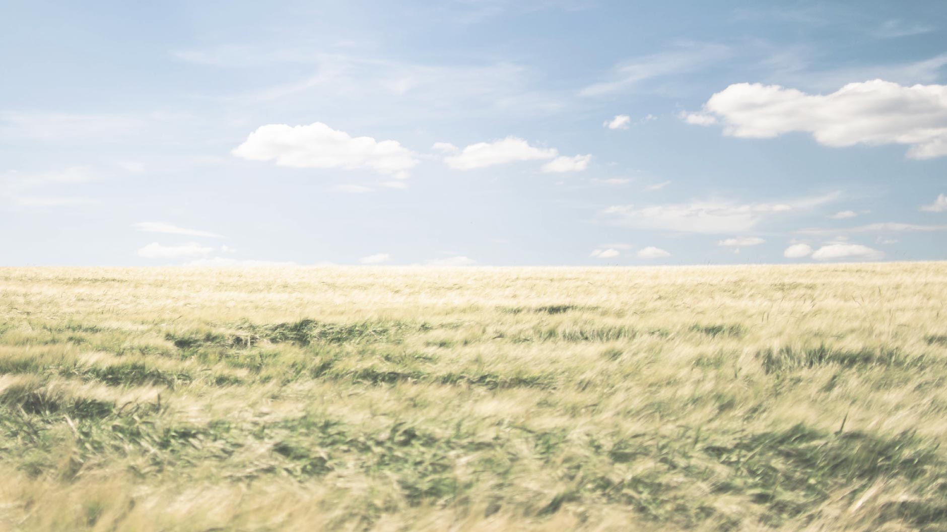 Получите бесплатную консультацию