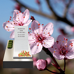 Памятник для урны с прахом "Стихия"